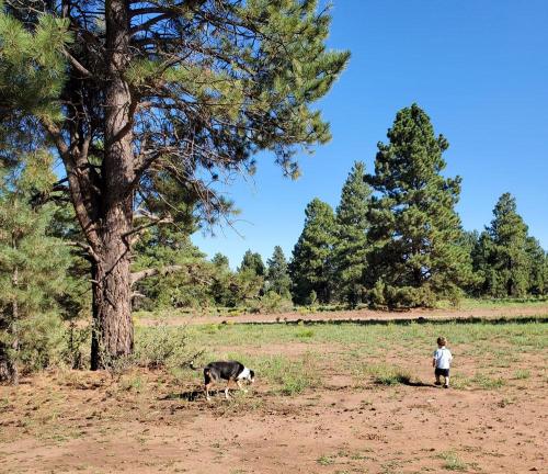 20210824-01-Keahi-and-Autumn-exploring-our-site