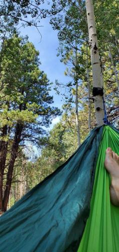 20210829-03-hammock-views