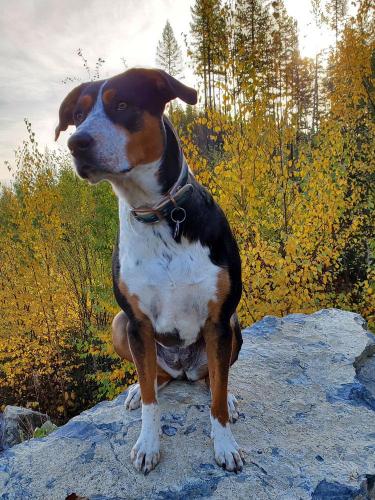 20211005-Autumn-Kalispell-MT