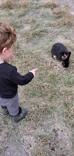 20211020-bunnies-3-bend-sunriver-TT