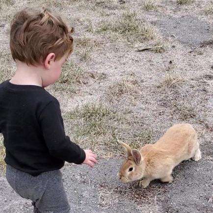 20211020-bunnies-1-bend-sunriver-TT