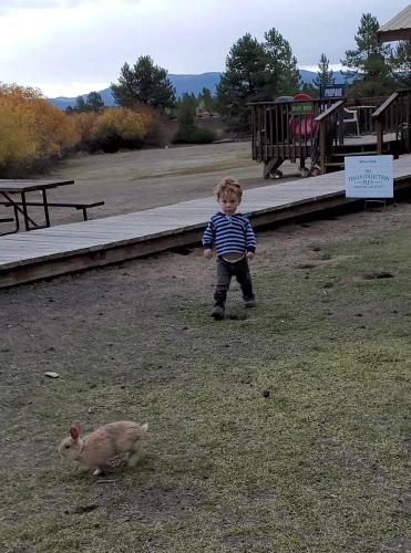 20211021-bunnies-2-bend-sunriver-TT