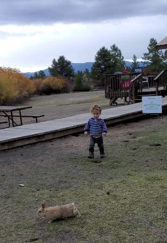 20211021-bunnies-1-bend-sunriver-TT