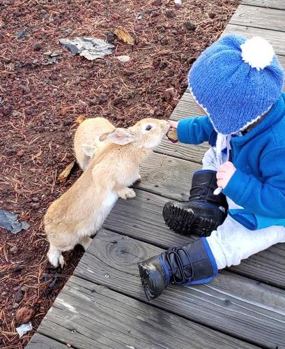 20211022-bunnies-4-bend-sunriver-TT