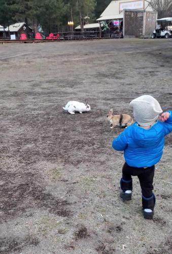20211025-bunnies-bend-sunriver-TT