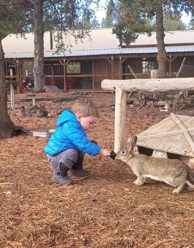 20211027-bunnies-3-bend-sunriver-TT