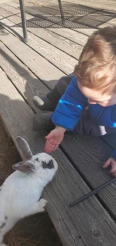 20211027-bunnies-1-bend-sunriver-TT