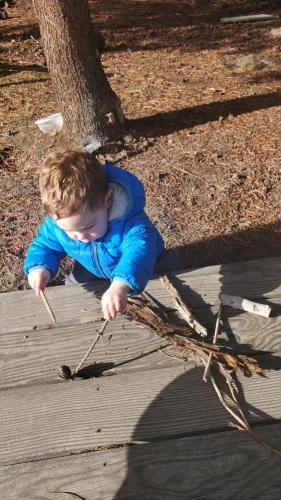 20211027-gathering-firewood-2-bend-sunriver-TT