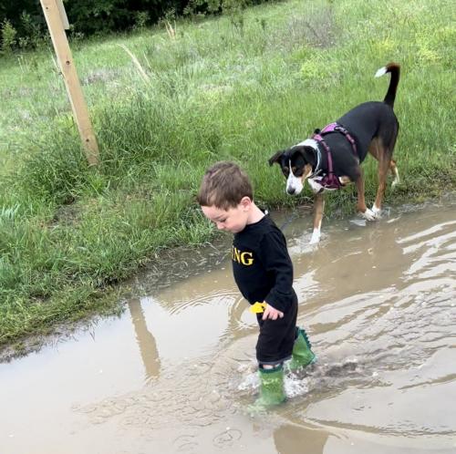 20220604-splashing-in-puddles-Sugar-Bottom