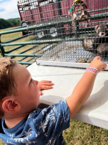 20220702 7906-Petting-Zoo-Metamora-VFD-Firemens-Festival-IN