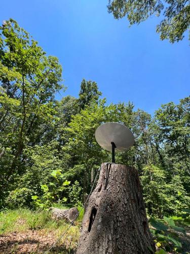 20220723-05-starlink-Little-Bennett-Clarksburg-MD