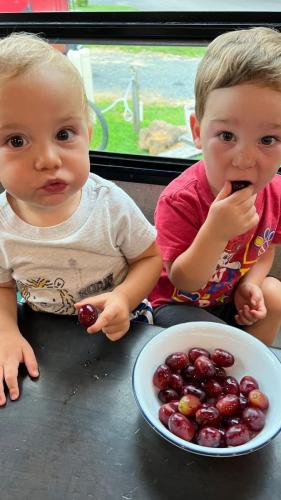 20220726-grapes-DC-Capitol-KOA-MD