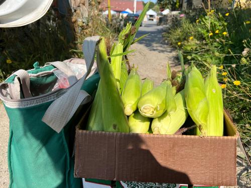 20220910-01-farmers-market-ellsworth-me