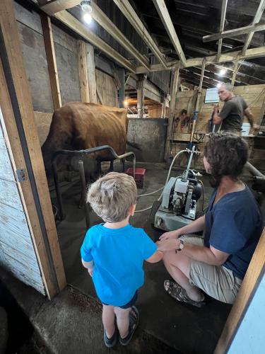 20220912-02-quills-end-farm-ME