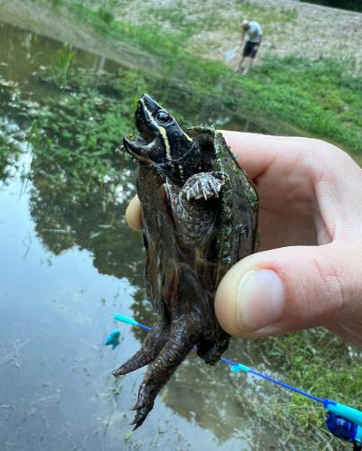 20240618 pond2
