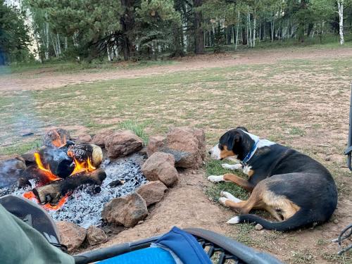 Autumn-watching-fire