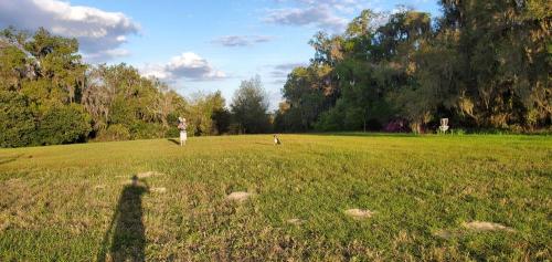 Frisbee-Golf-area-Sparacia