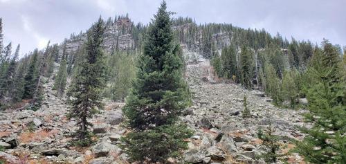 Hidden-Falls-Hike-8-Grand-Teton-NP