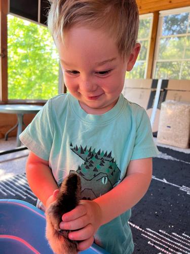 20220527-Keahi-holding-baby-chick-Kalona