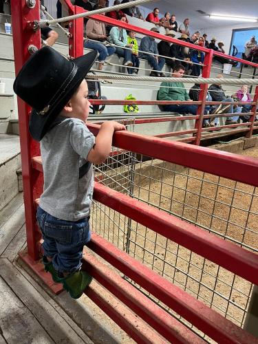 20220524-Keahi-watching-the-Auction-Kalona-Sales-Barn