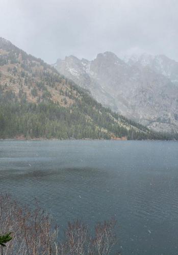 Snowing-at-Jenny-Lake-1-Grand-Teton-NP