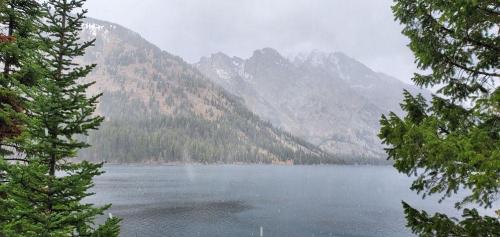 Snowing-at-Jenny-Lake-2-Grand-Teton-NP