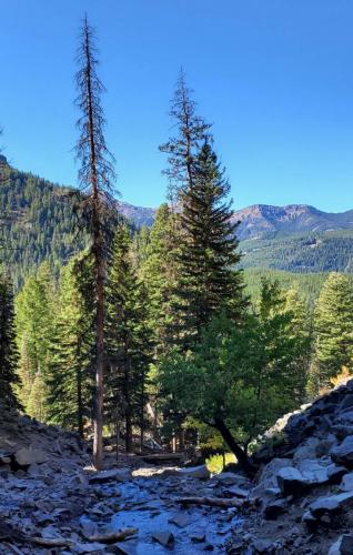 View-at-the-top-1-Palisade-Falls