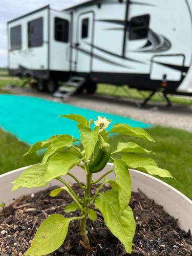 20220524-rv-garden-Kalona-Park